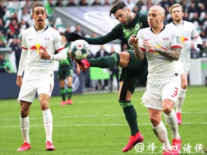 调查显示44%德国球迷愿意疫后去现场看球 调查显示44%德国球迷愿意疫后去现场看球